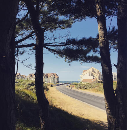 Entre mer et pins des dunes, une idée du paradis