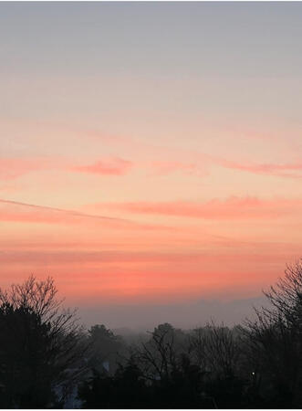 Une vue depuis la terrasse, au petit matin...